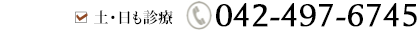 土日も診療　042-497-6745