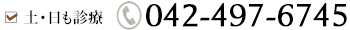 土日も診療　042-497-6745